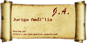 Juriga Amália névjegykártya